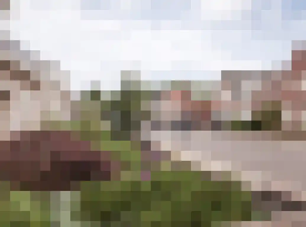 Parkstraat 18 St. Willebrord thumbnail 86