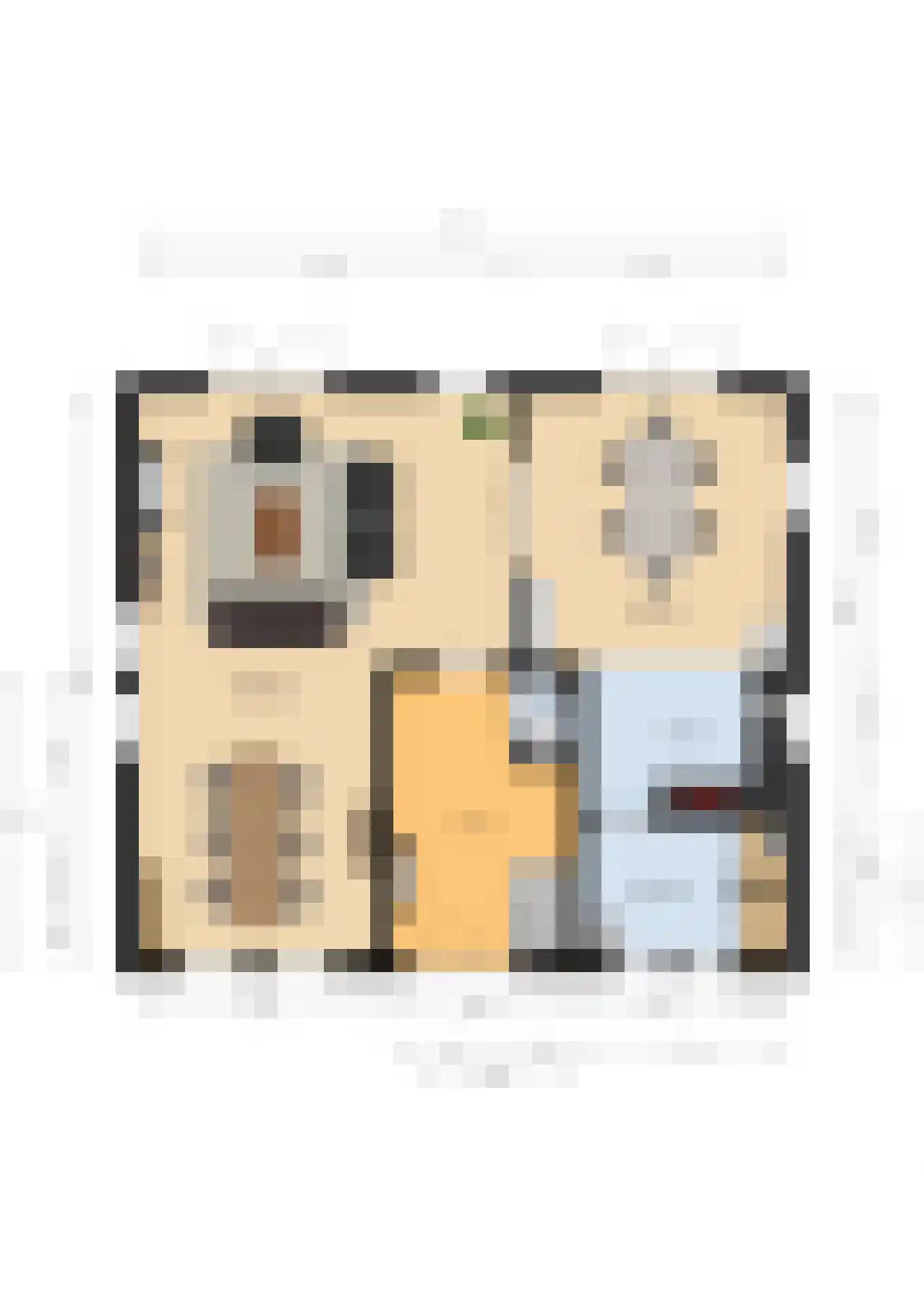 Parkstraat 18 St. Willebrord thumbnail 87