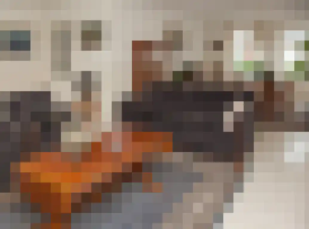 Parkstraat 18 St. Willebrord thumbnail 9