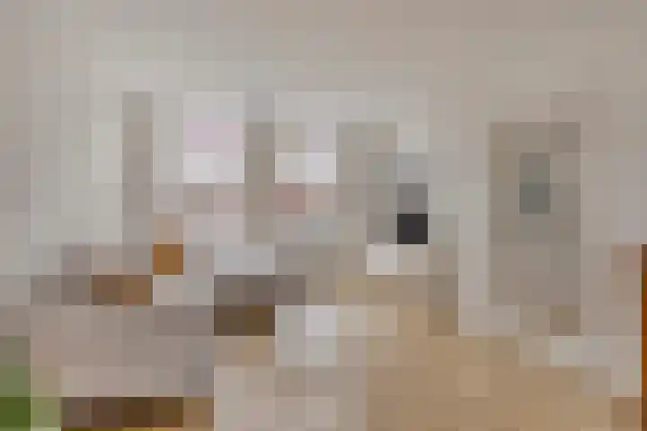Parkstraat 18 Zaandijk thumbnail 8