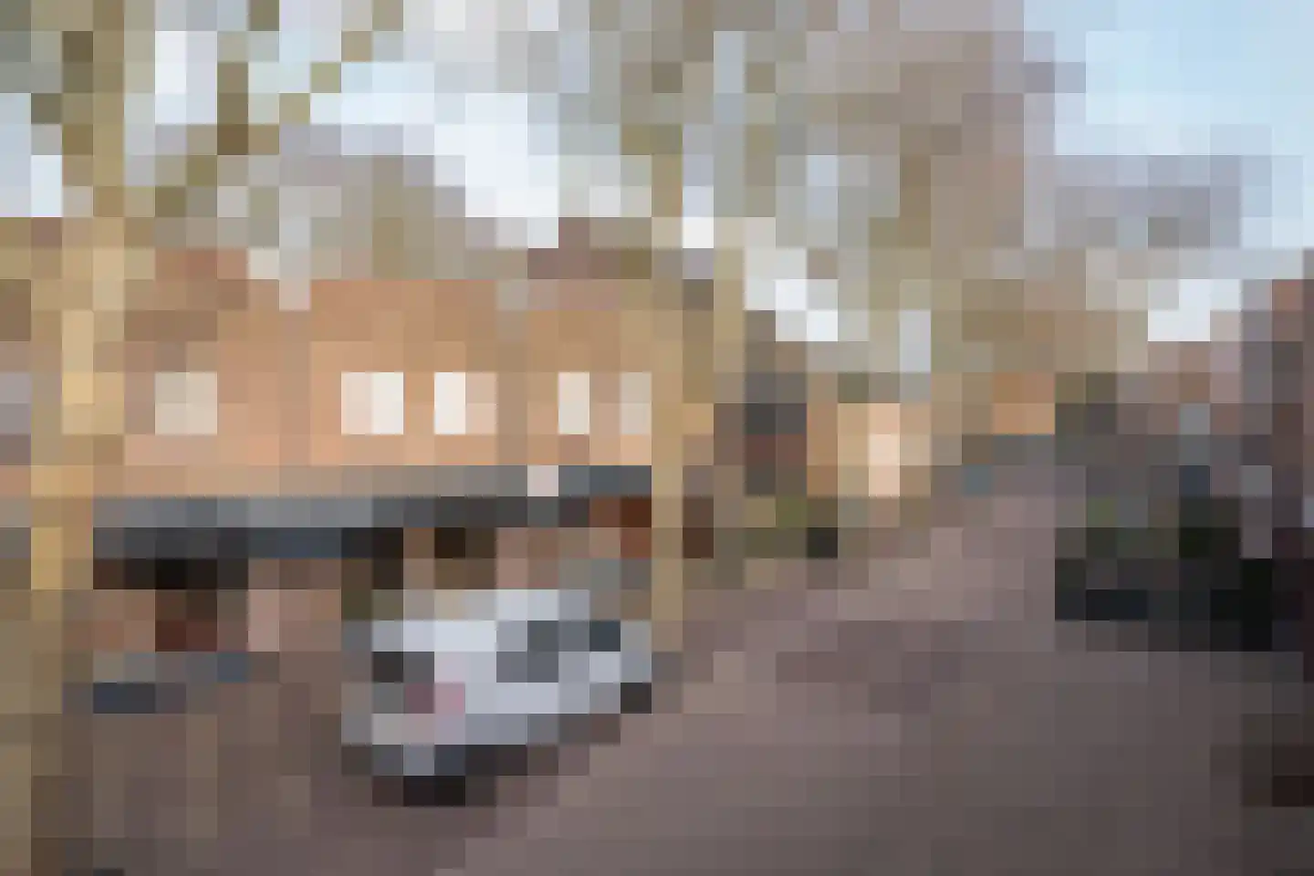 Parkstraat 20 Den Burg thumbnail 22
