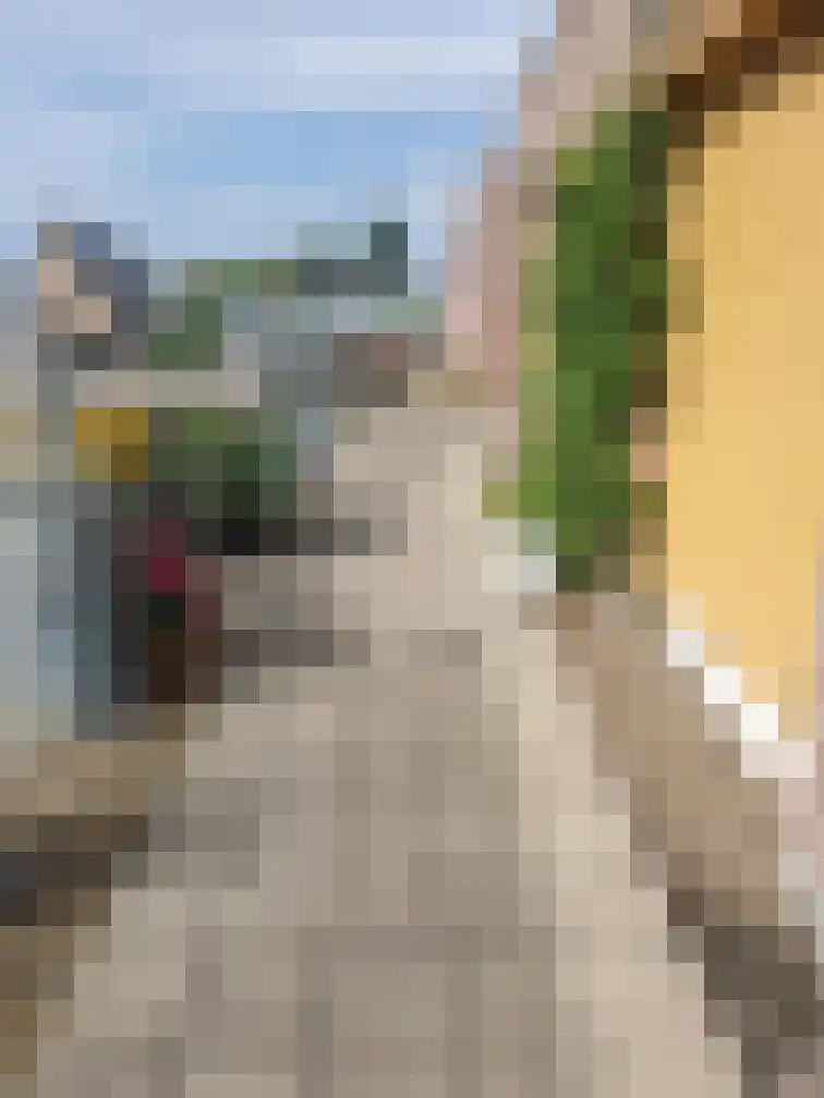 Parkstraat 20 Den Burg thumbnail 35