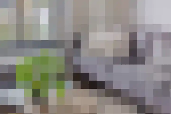 Parkstraat 20 Ulft thumbnail 10