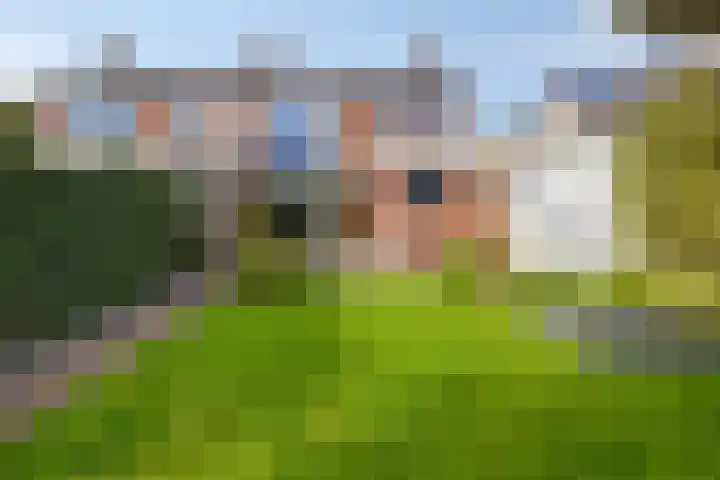 Parkstraat 20 Ulft thumbnail 48