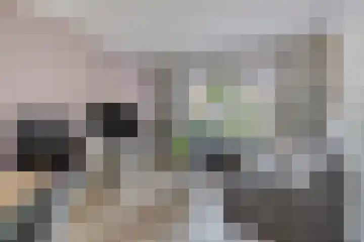 Parkstraat 20 Ulft thumbnail 8