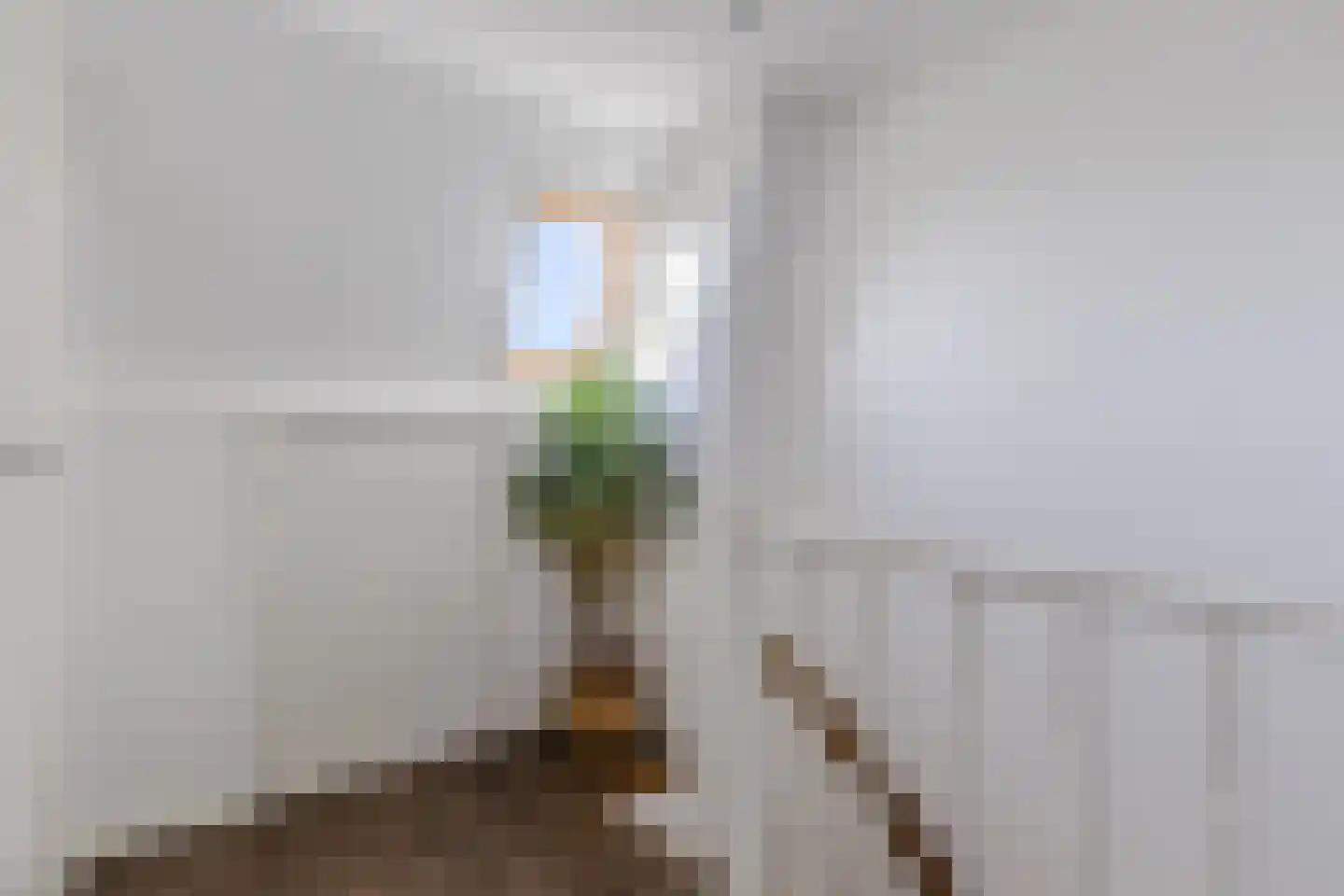 Parkstraat 21 Zaandijk thumbnail 22