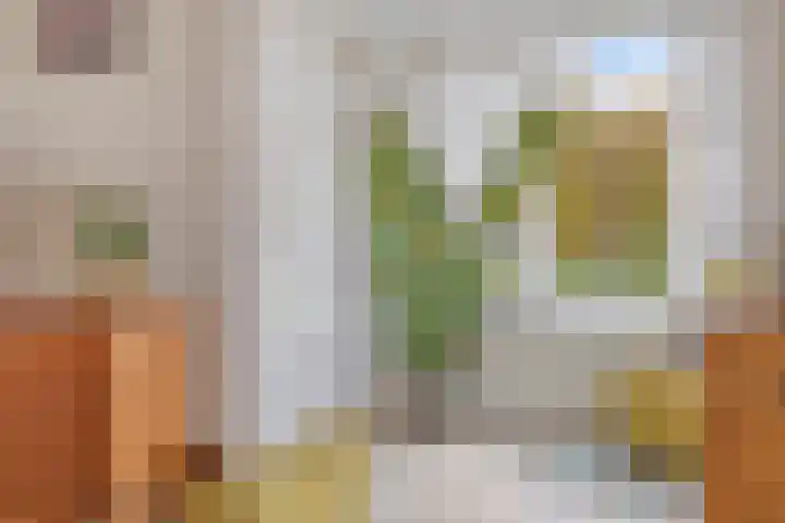 Parkstraat 22 Ulft thumbnail 11