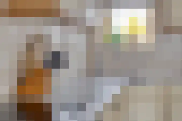Parkstraat 22 Ulft thumbnail 13