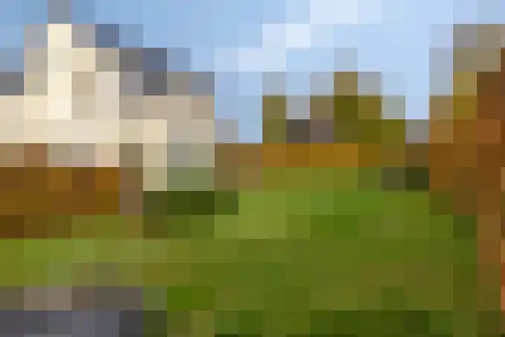 Parkstraat 22 Ulft thumbnail 41