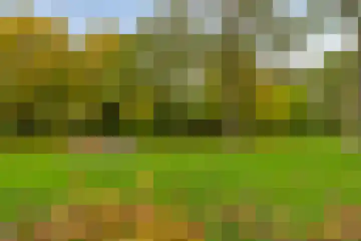 Parkstraat 22 Ulft thumbnail 58