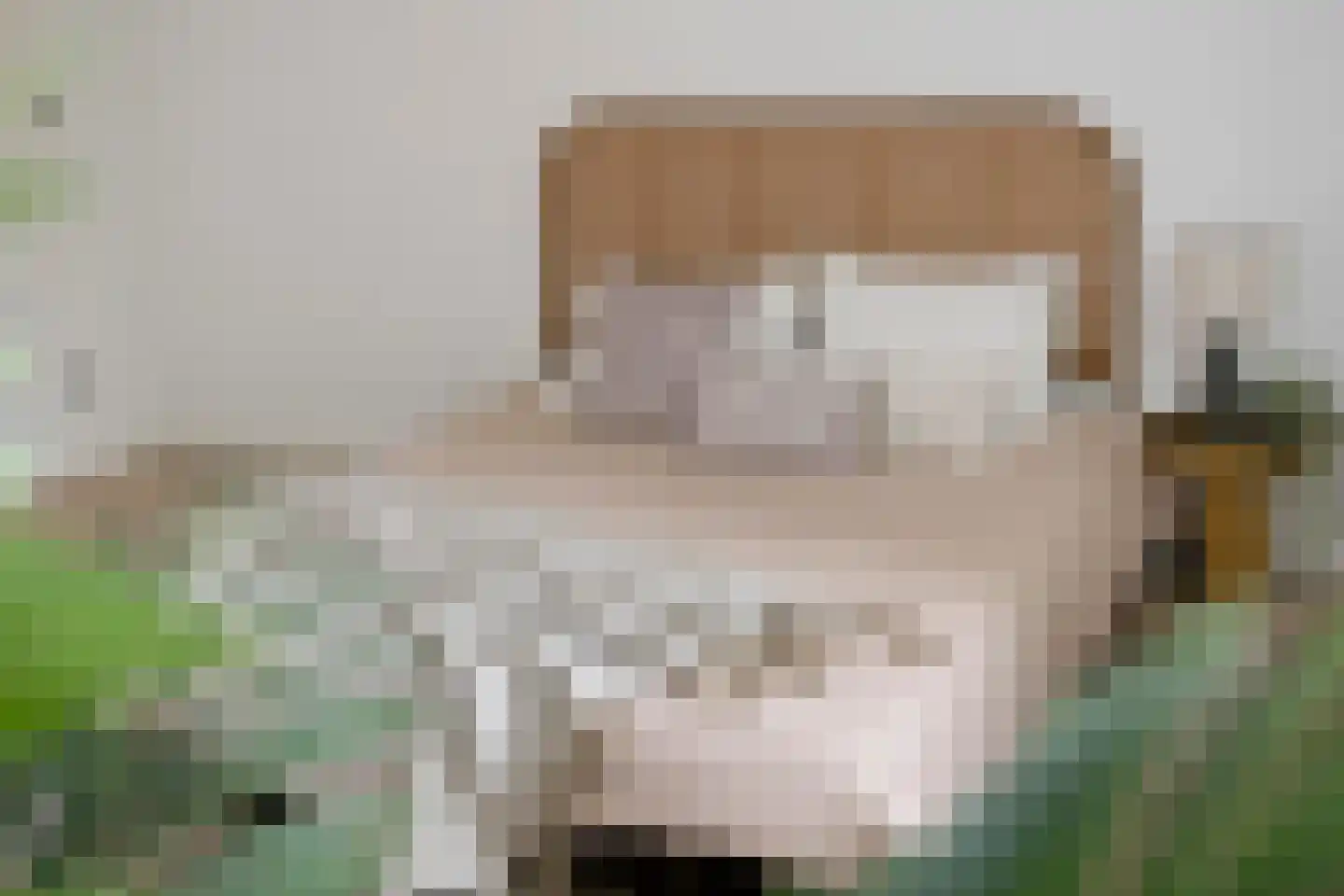 Parkstraat 24 1 Arnhem thumbnail 32