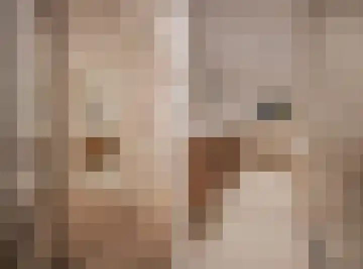 Parkstraat 24 1 Arnhem thumbnail 32