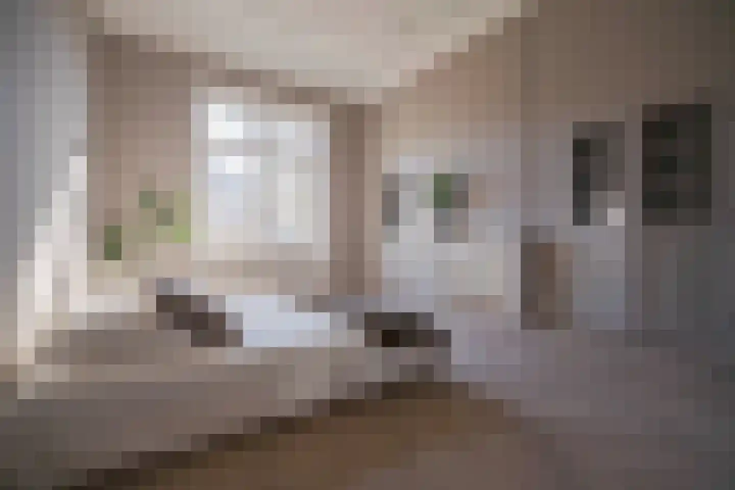 Parkstraat 24 2 Arnhem thumbnail 4