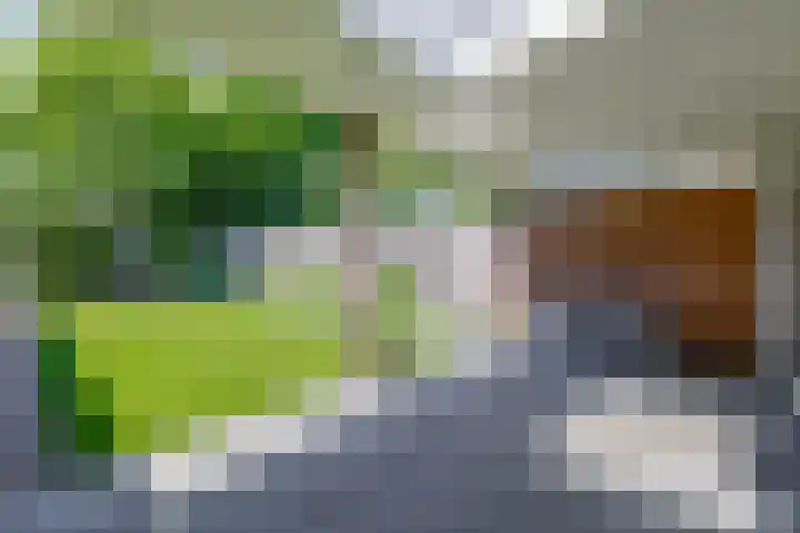 Parkstraat 25 Deurne thumbnail 44