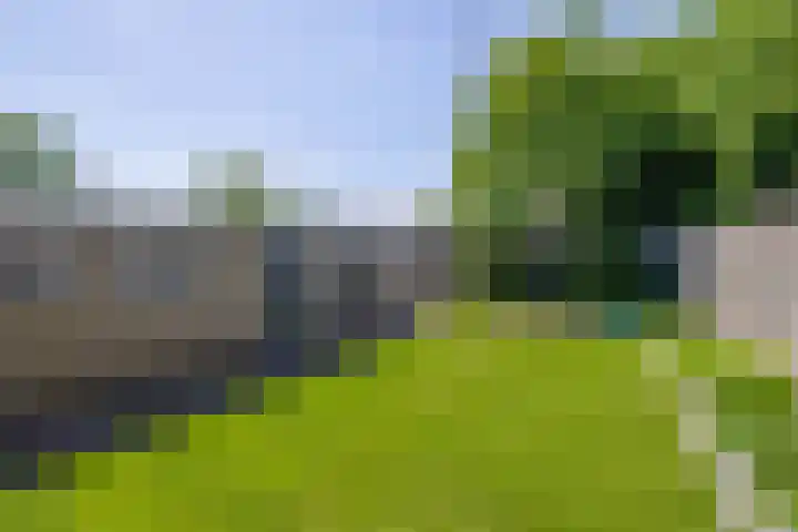 Parkstraat 25 Deurne thumbnail 45