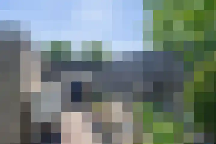 Parkstraat 25 Deurne thumbnail 46