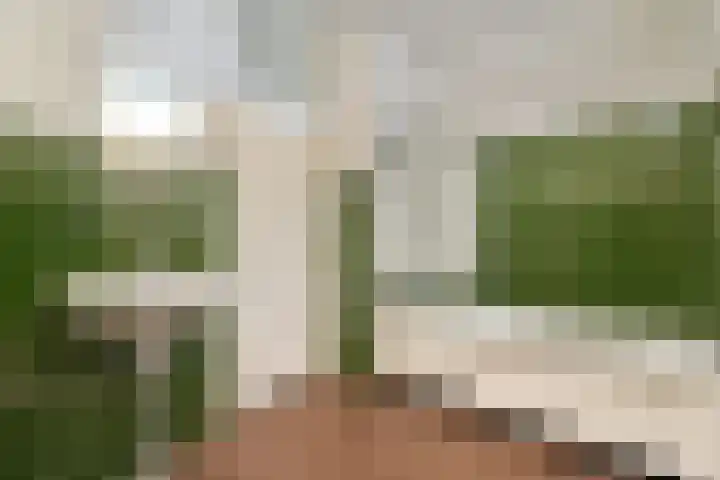 Parkstraat 25 Deurne thumbnail 47