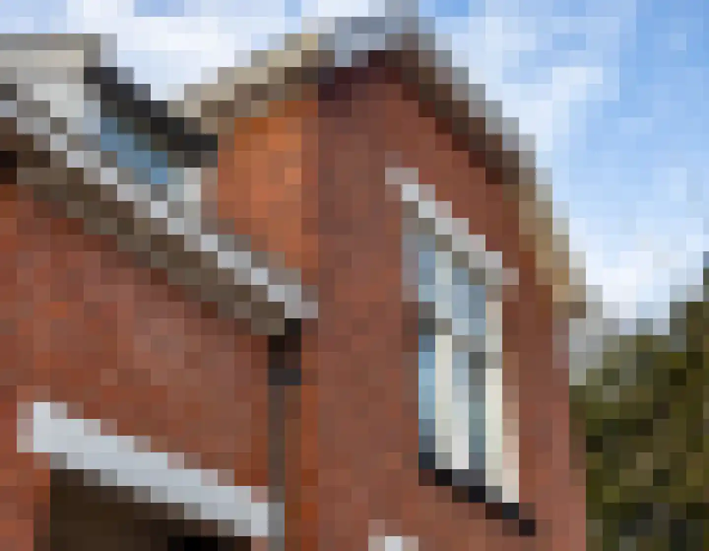 Parkstraat 25 Enschede thumbnail 7