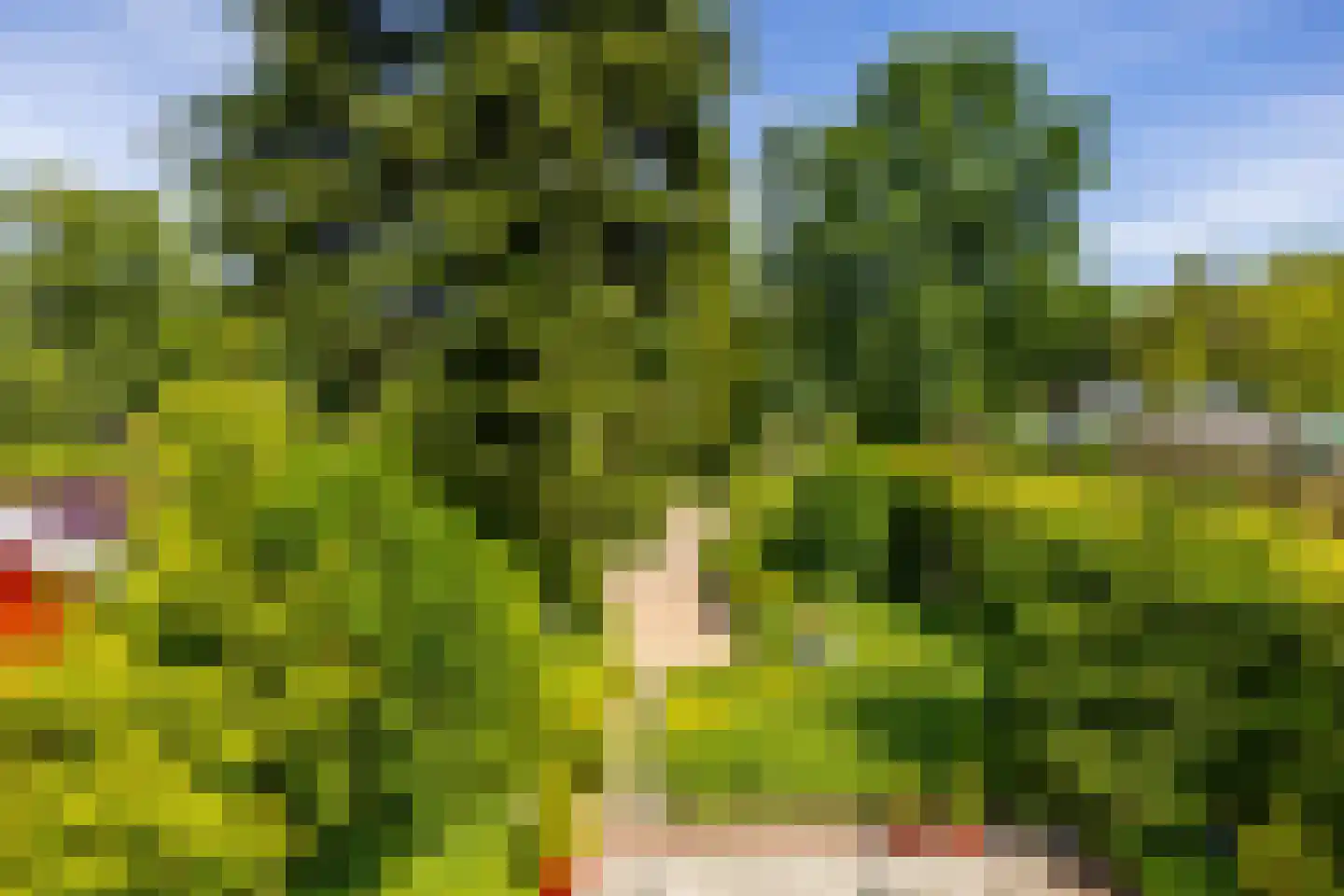 Parkstraat 25 Sappemeer thumbnail 30
