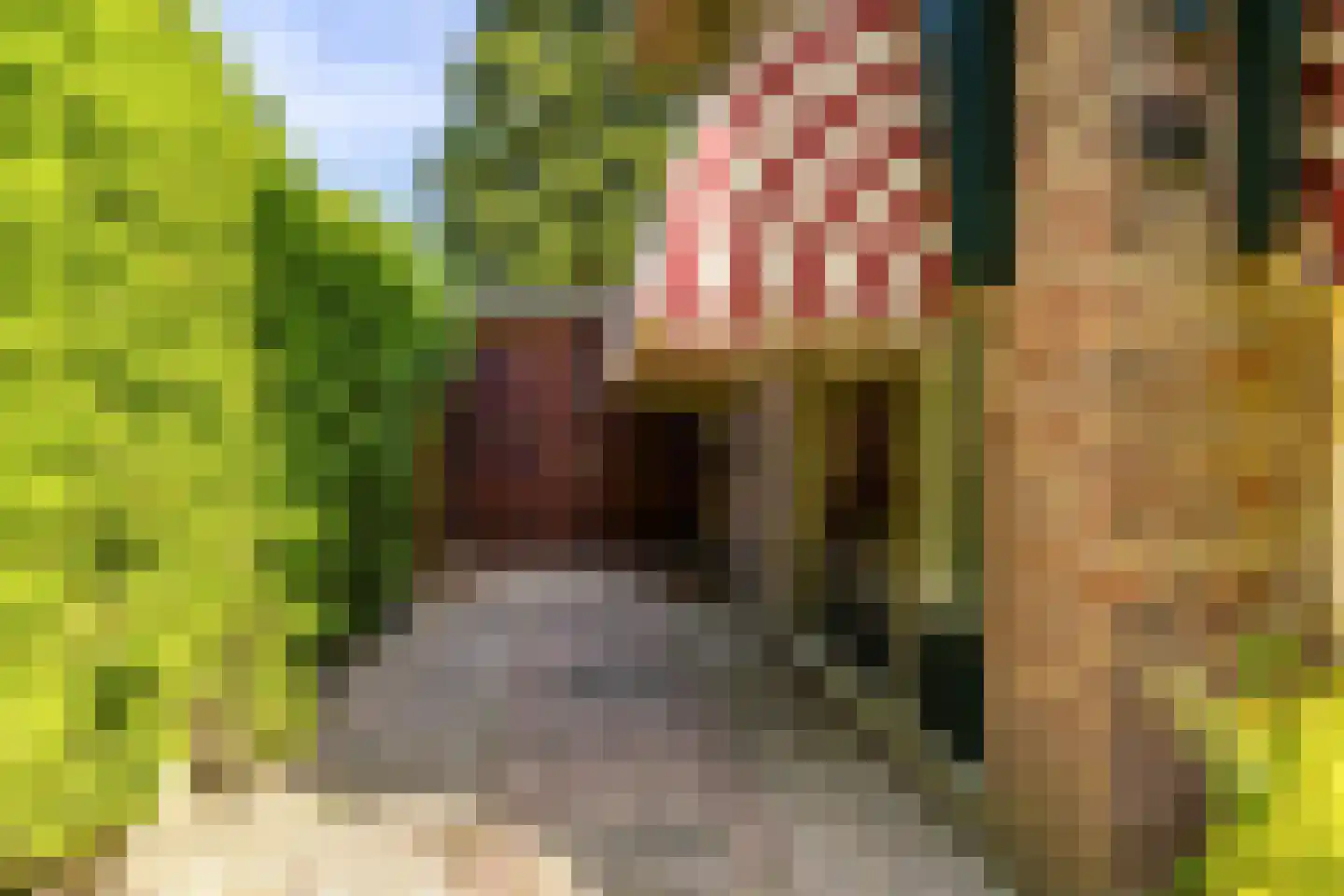 Parkstraat 25 Sappemeer thumbnail 35