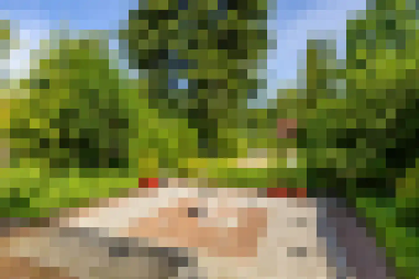 Parkstraat 25 Sappemeer thumbnail 36