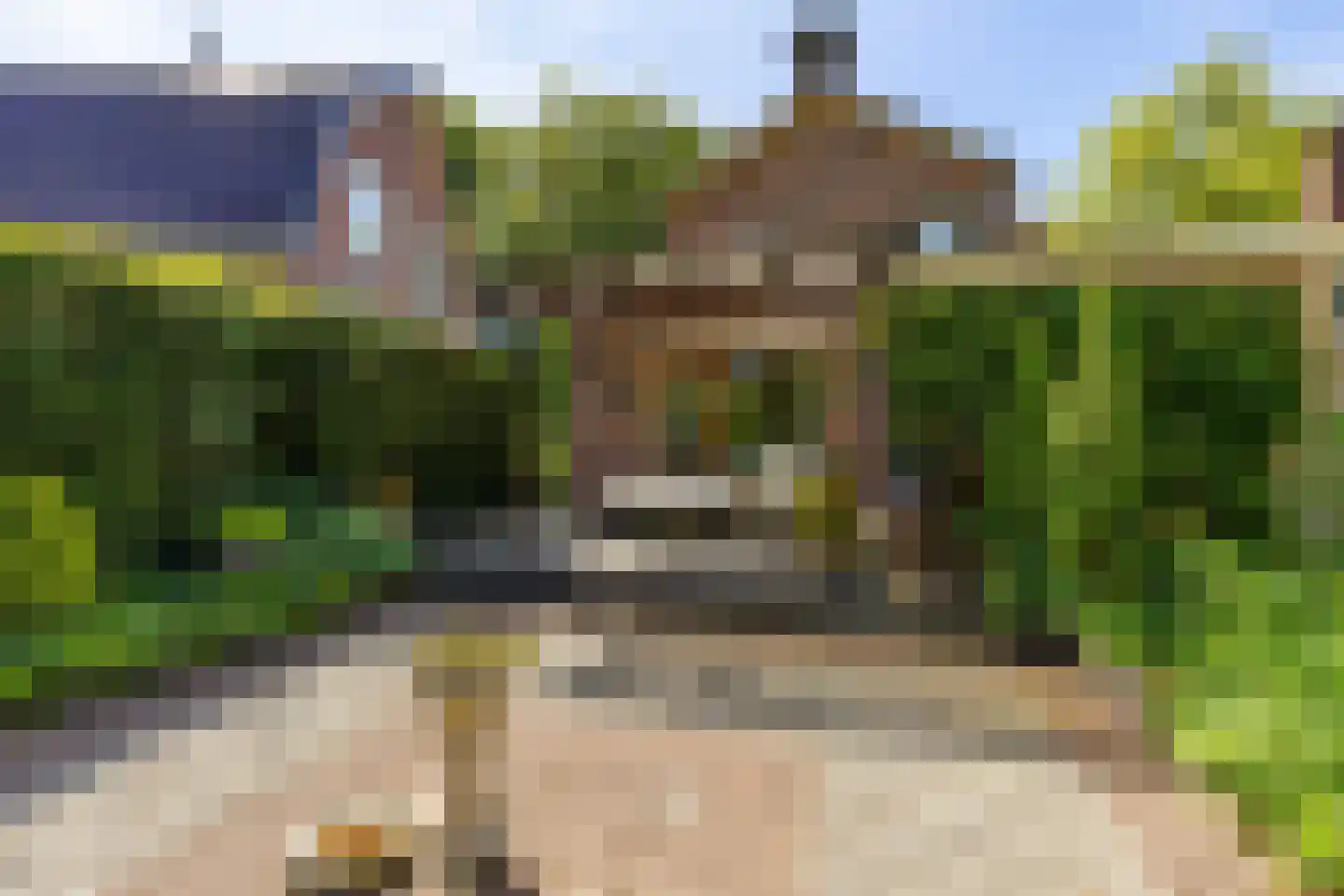 Parkstraat 25 Sappemeer thumbnail 38