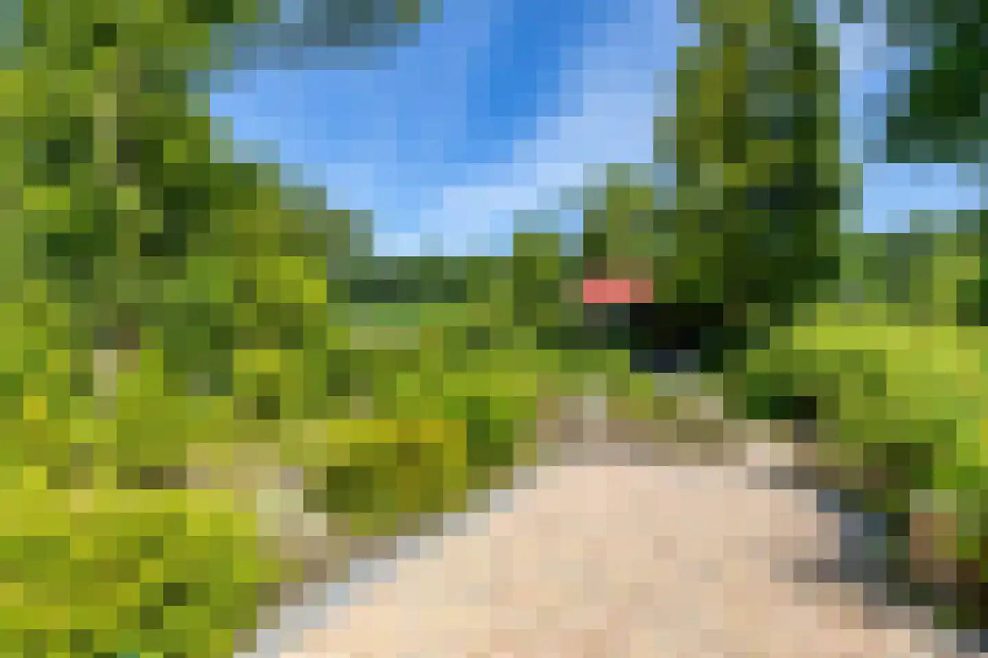 Parkstraat 25 Sappemeer thumbnail 40