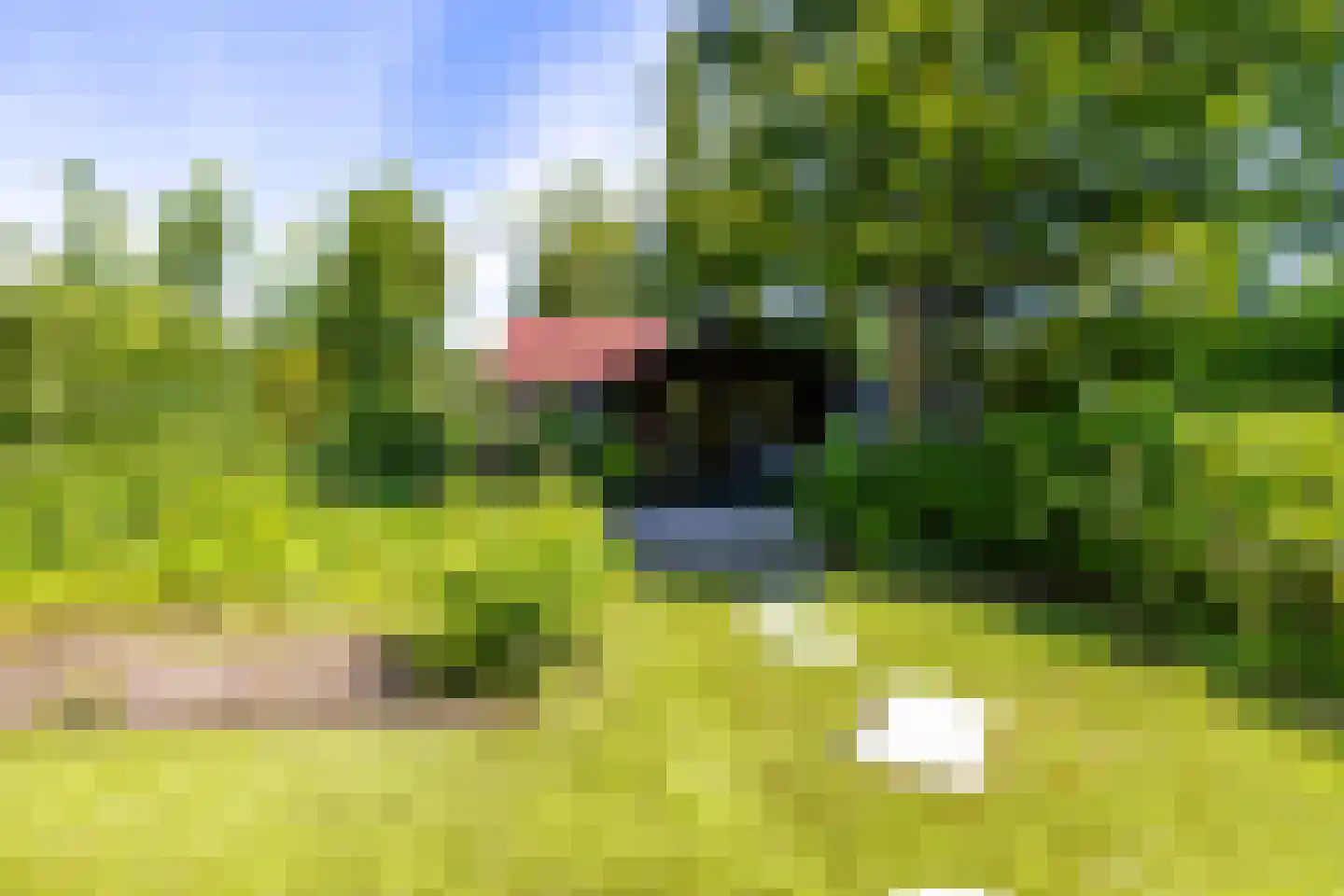 Parkstraat 25 Sappemeer thumbnail 41