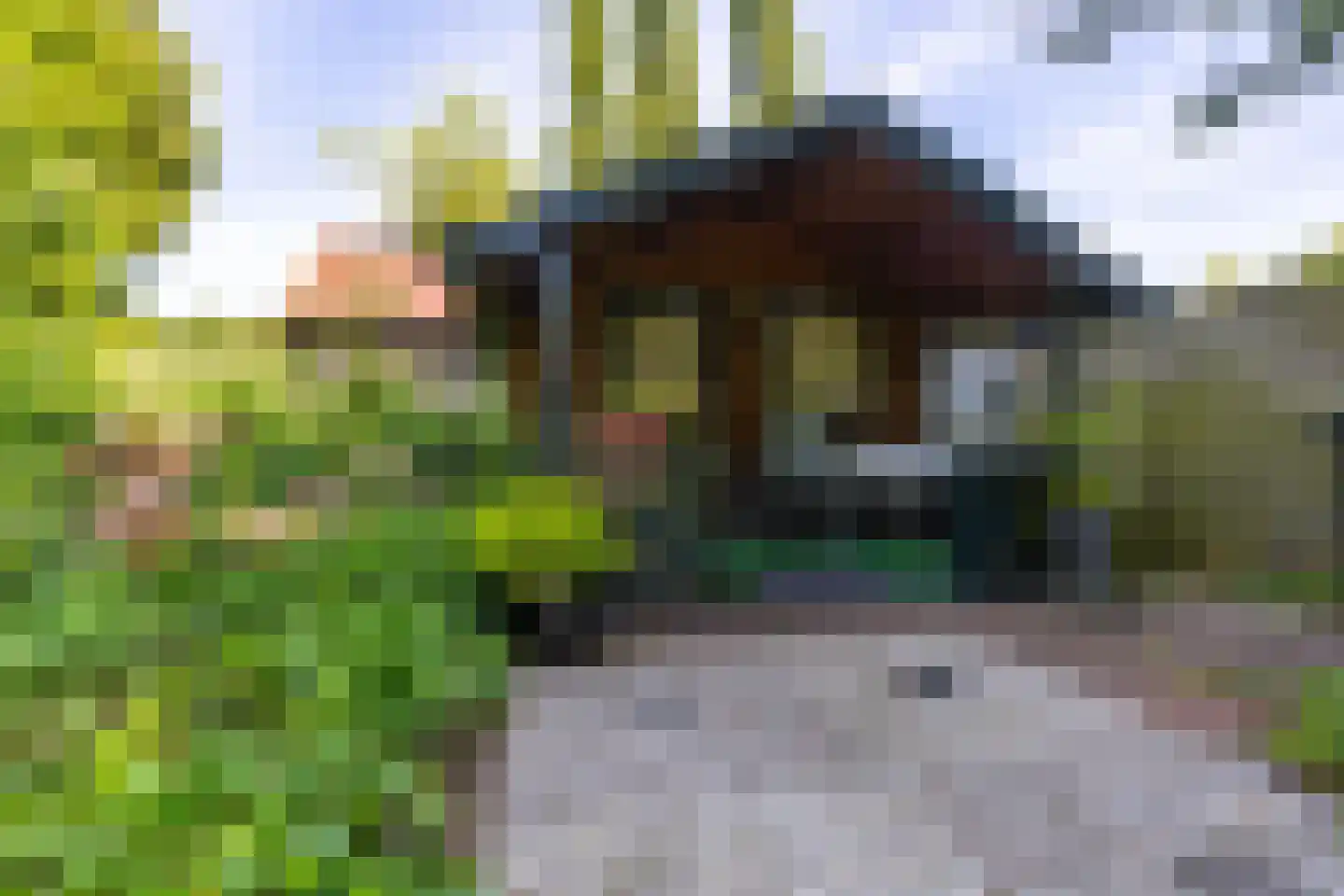 Parkstraat 25 Sappemeer thumbnail 42