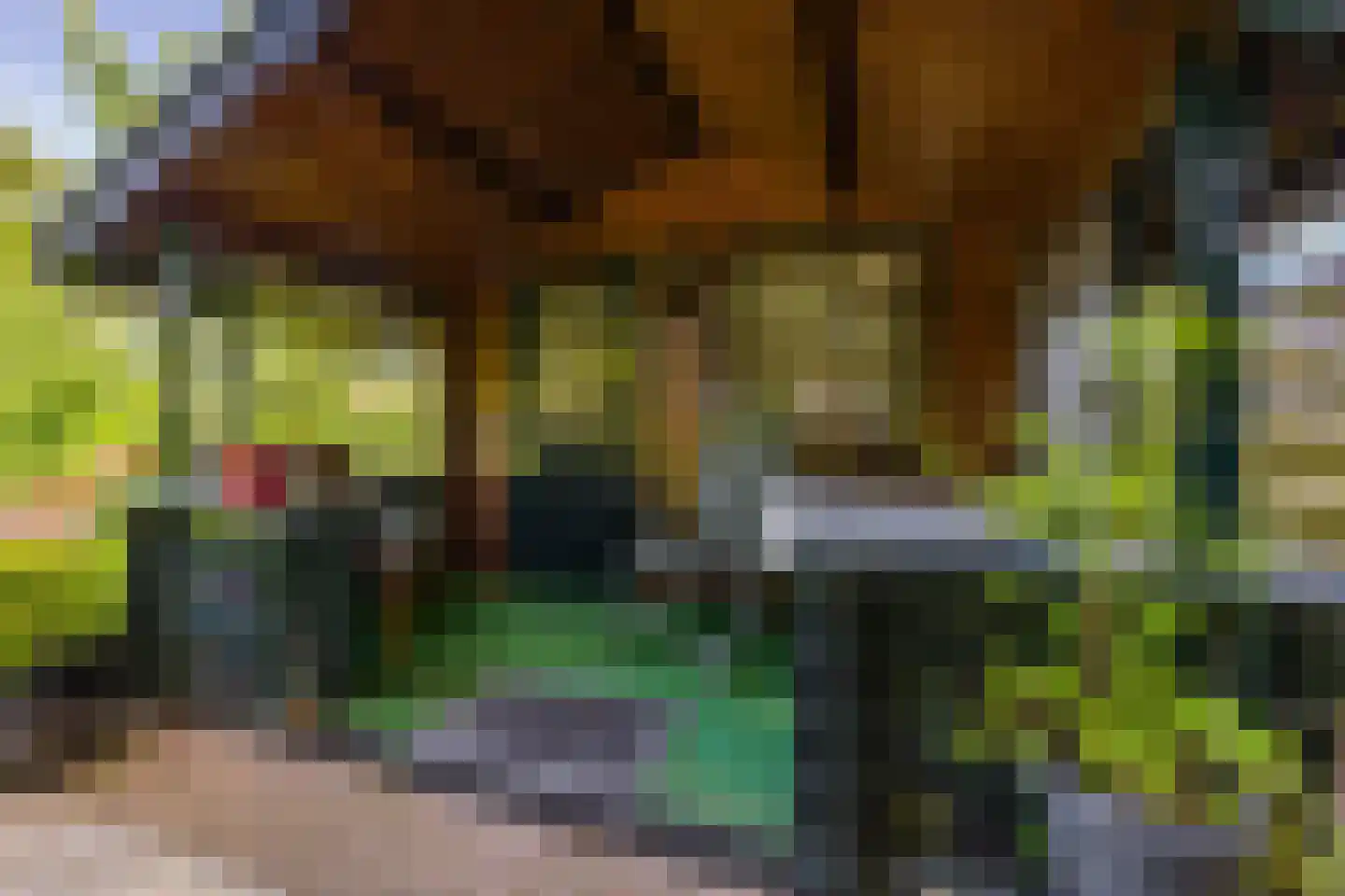 Parkstraat 25 Sappemeer thumbnail 43