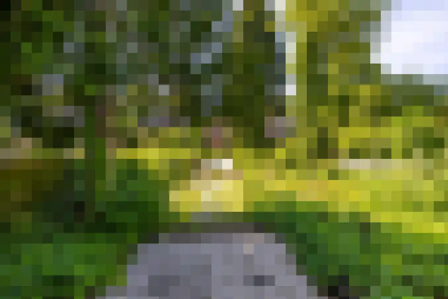 Parkstraat 25 Sappemeer thumbnail 44