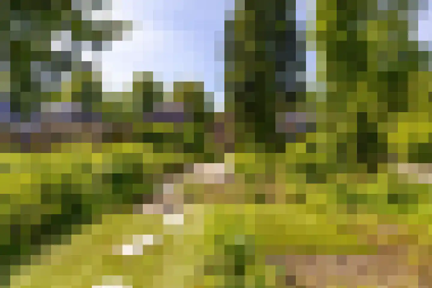 Parkstraat 25 Sappemeer thumbnail 45