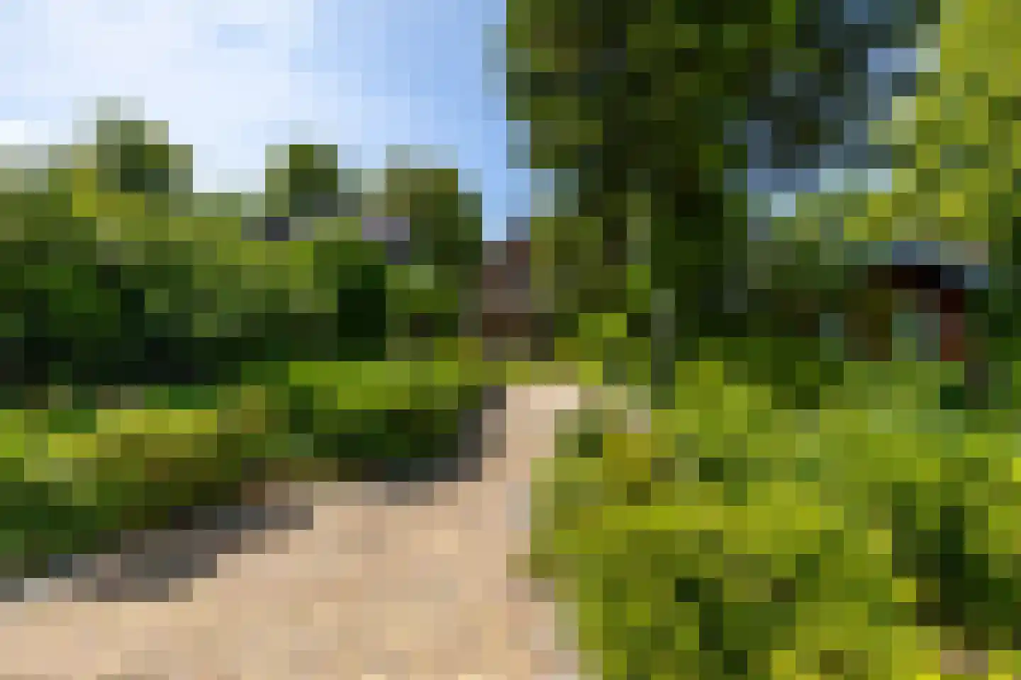 Parkstraat 25 Sappemeer thumbnail 46