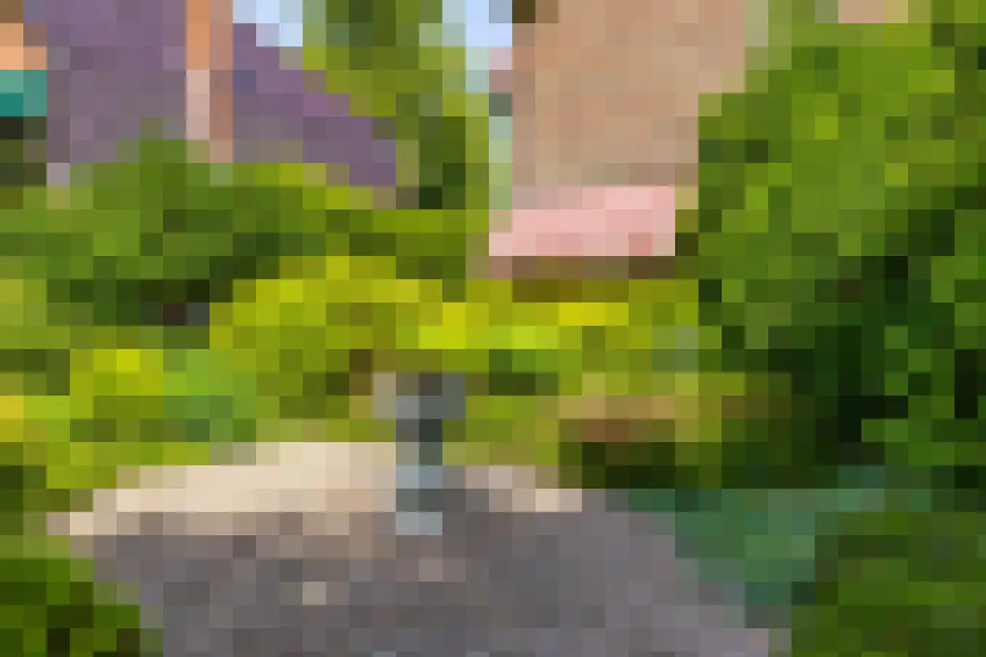 Parkstraat 25 Sappemeer thumbnail 48