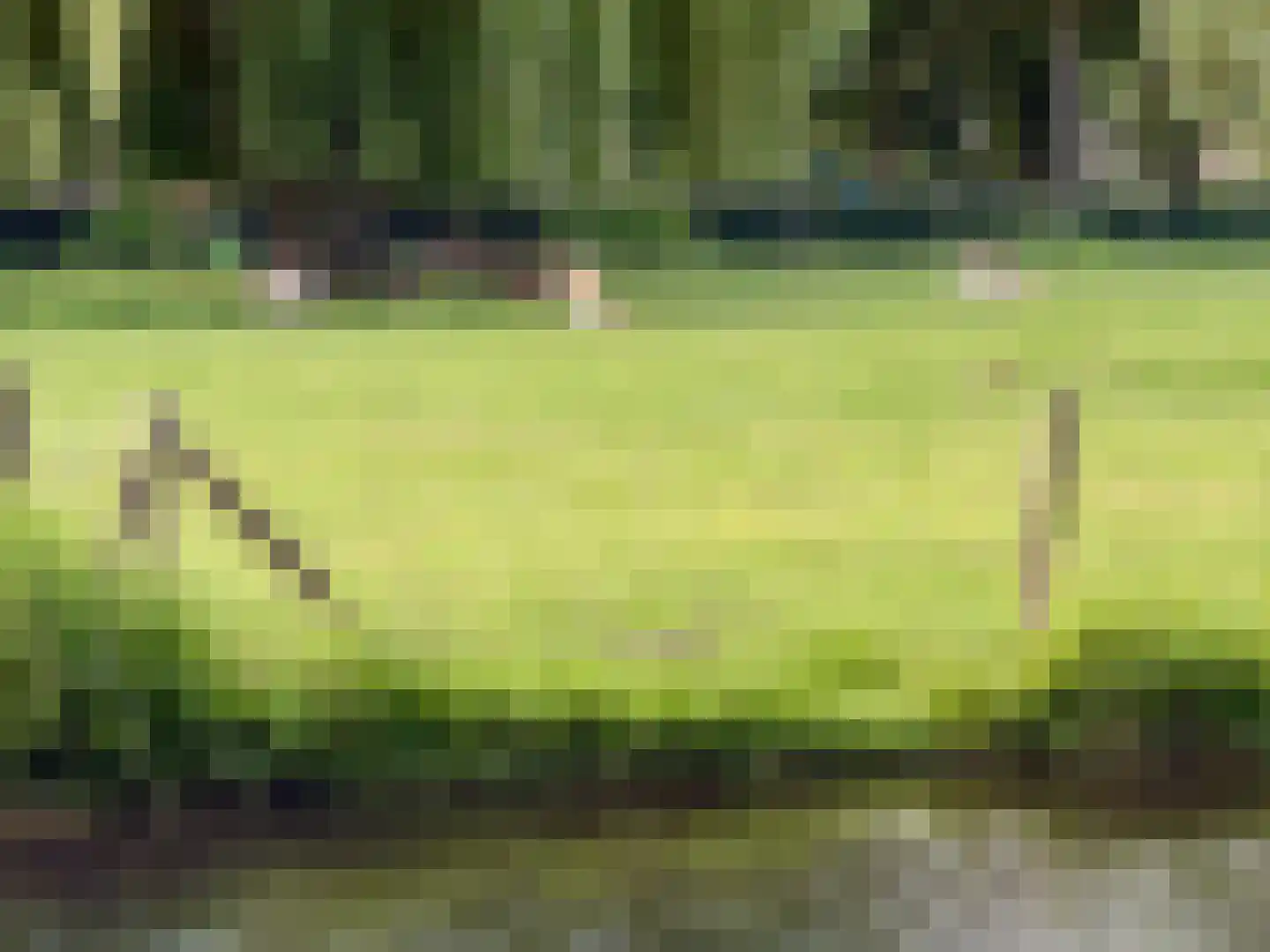 Parkstraat 25 Sappemeer thumbnail 51