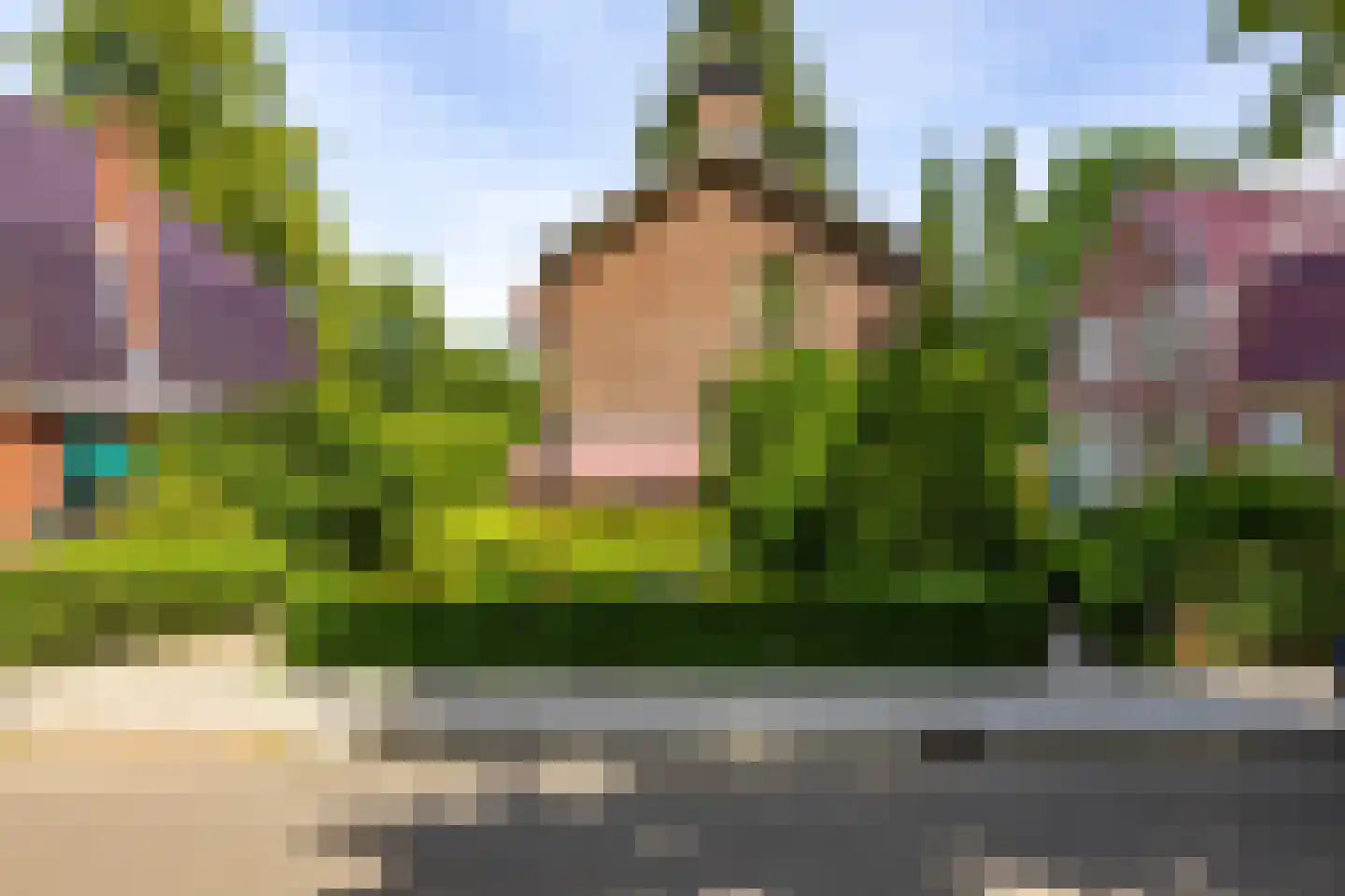 Parkstraat 25 Sappemeer thumbnail 6