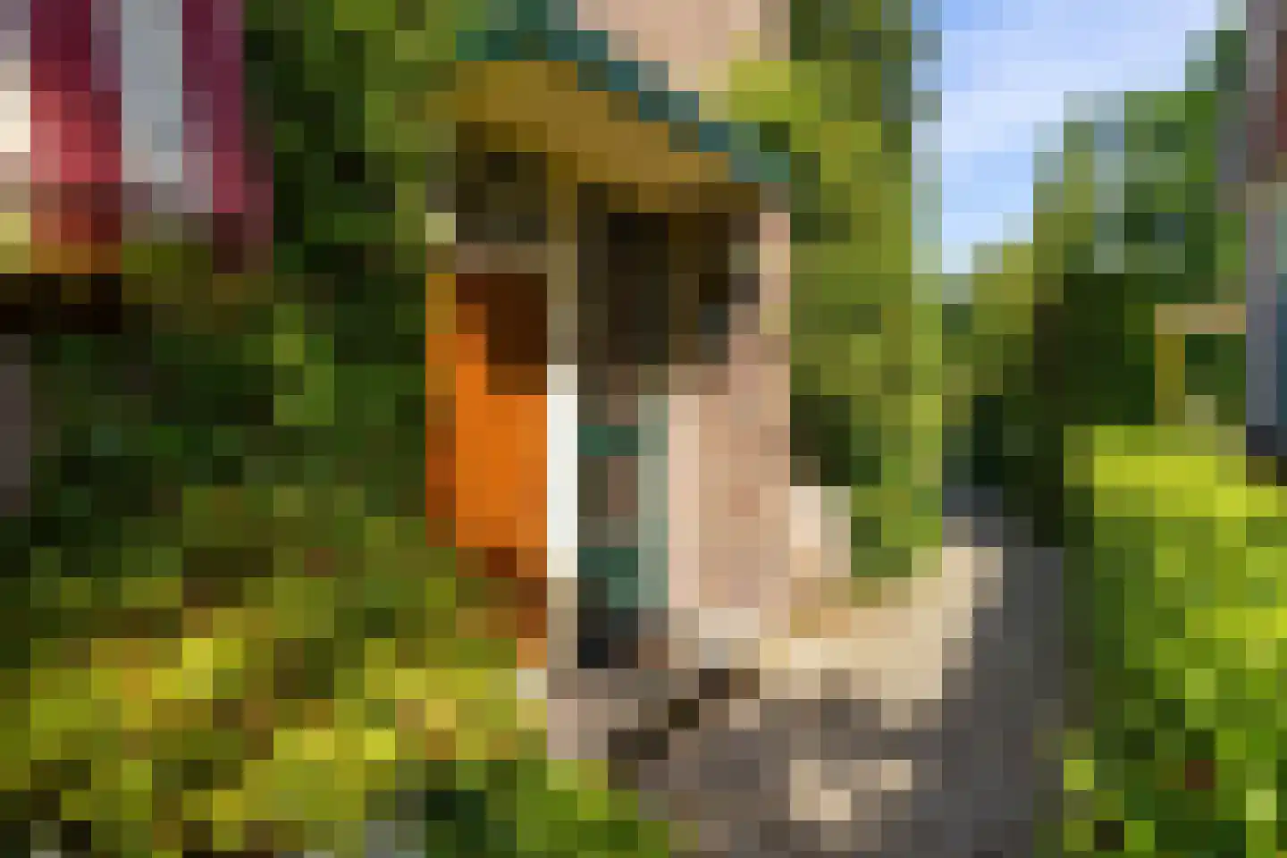 Parkstraat 25 Sappemeer thumbnail 8