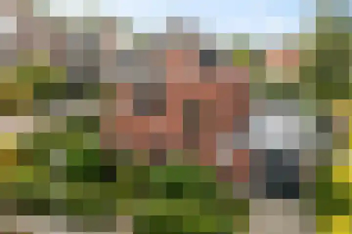 Parkstraat 26 Assen thumbnail 40