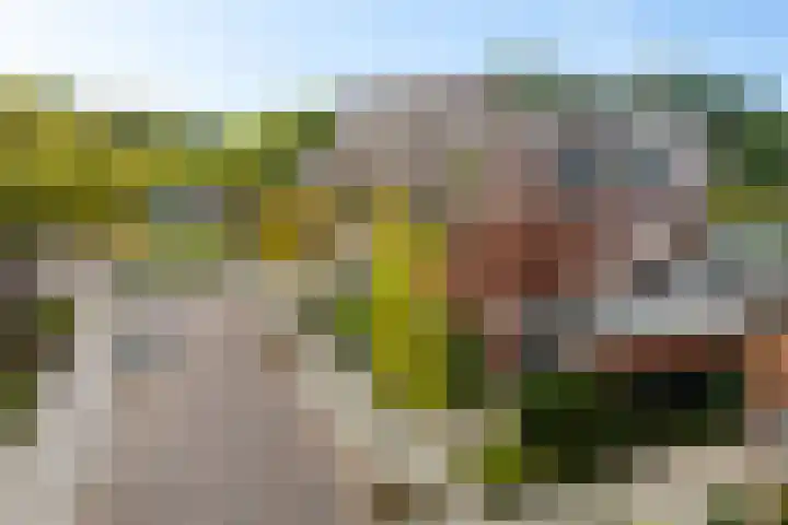 Parkstraat 26 Assen thumbnail 41