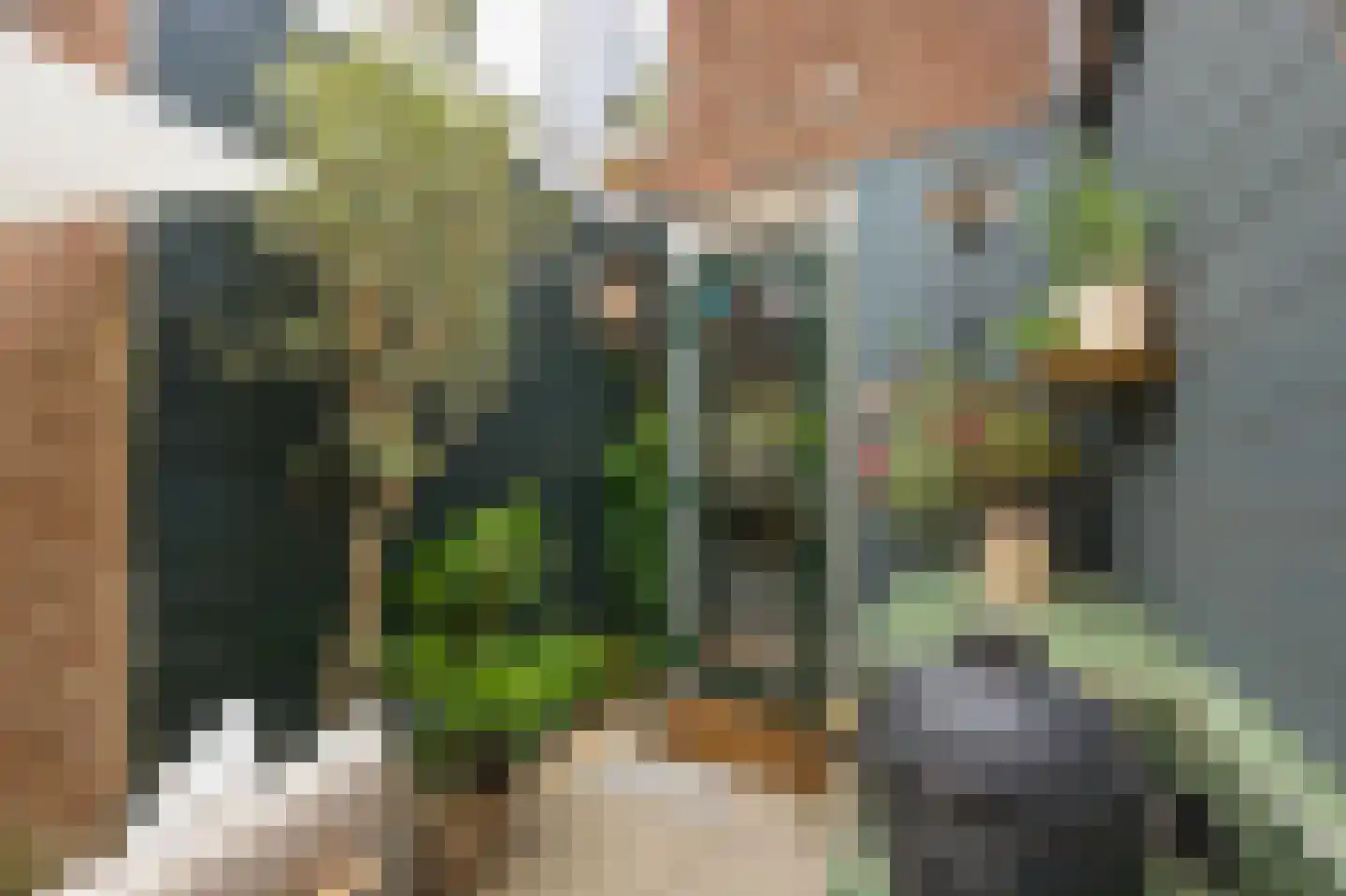 Parkstraat 28 Zaandam thumbnail 12