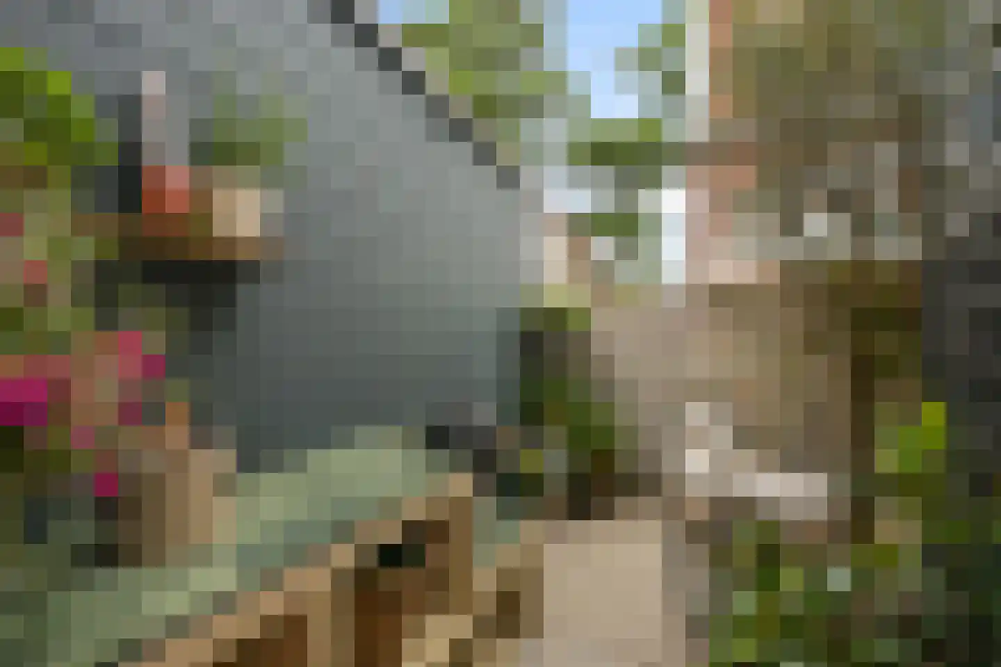 Parkstraat 28 Zaandam thumbnail 14
