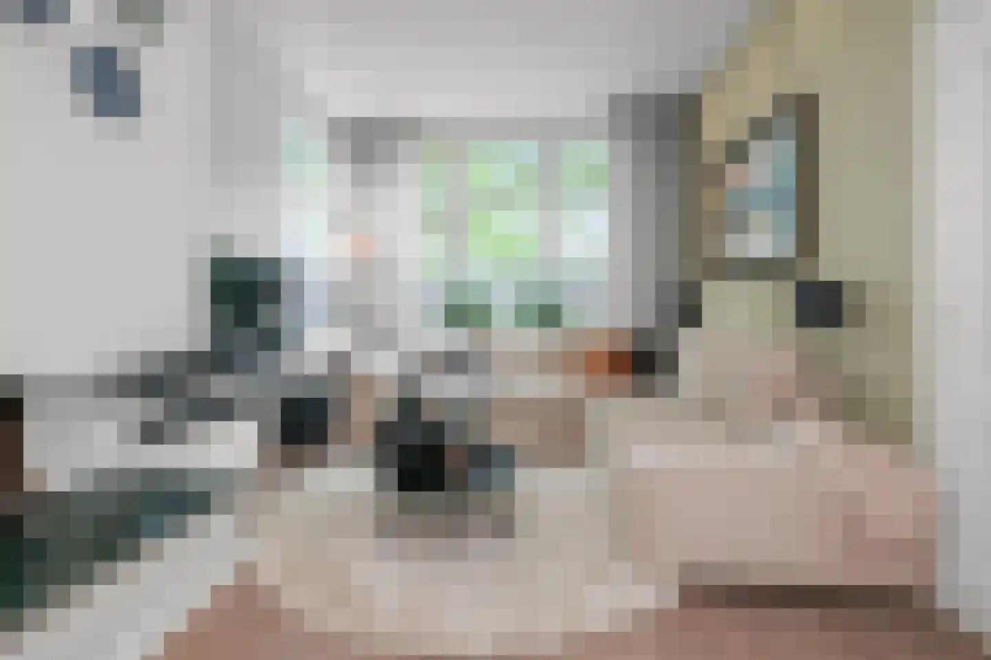 Parkstraat 28 Zaandam thumbnail 6