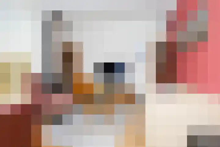 Parkstraat 31 Velp thumbnail 18