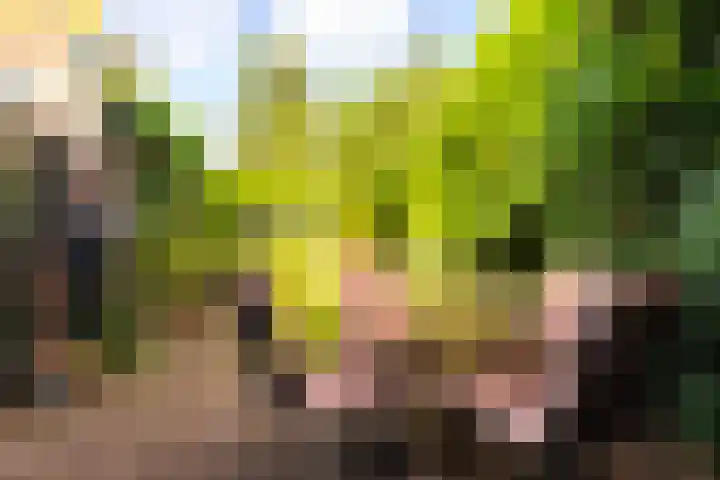 Parkstraat 31 Velp thumbnail 24