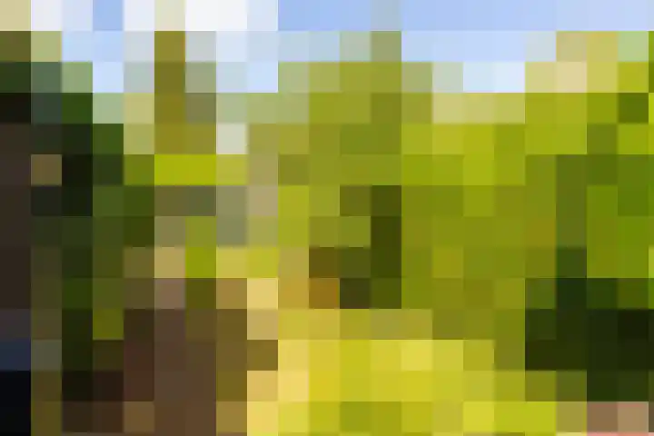 Parkstraat 31 Velp thumbnail 25