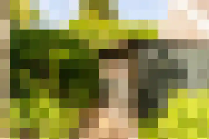 Parkstraat 31 Velp thumbnail 26