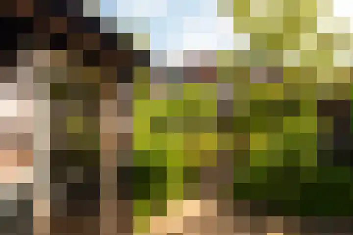 Parkstraat 31 Velp thumbnail 27