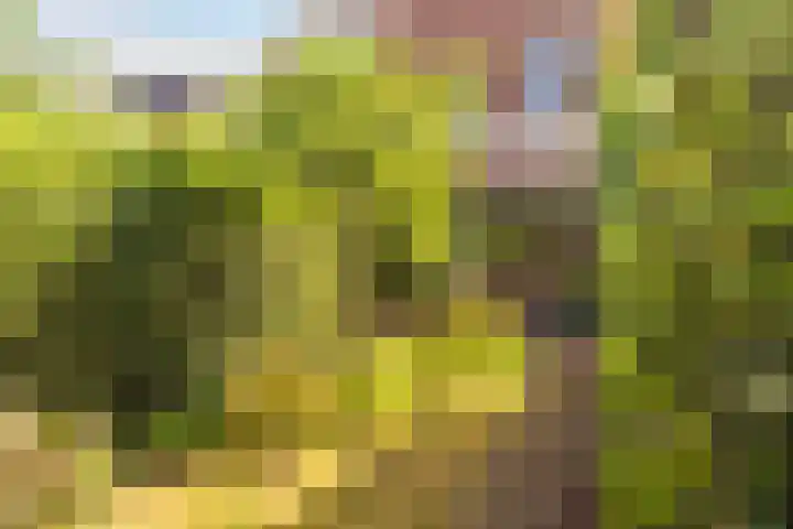 Parkstraat 31 Velp thumbnail 28