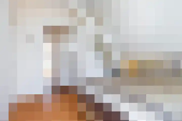 Parkstraat 31 Velp thumbnail 32