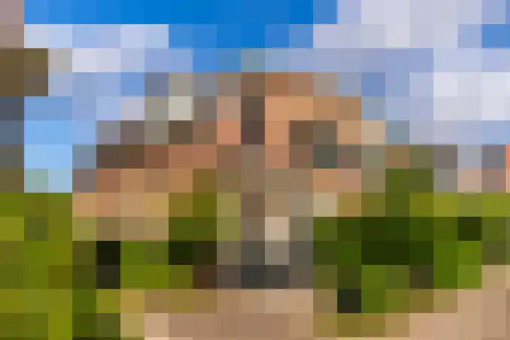 Parkstraat 31 Velp thumbnail 49